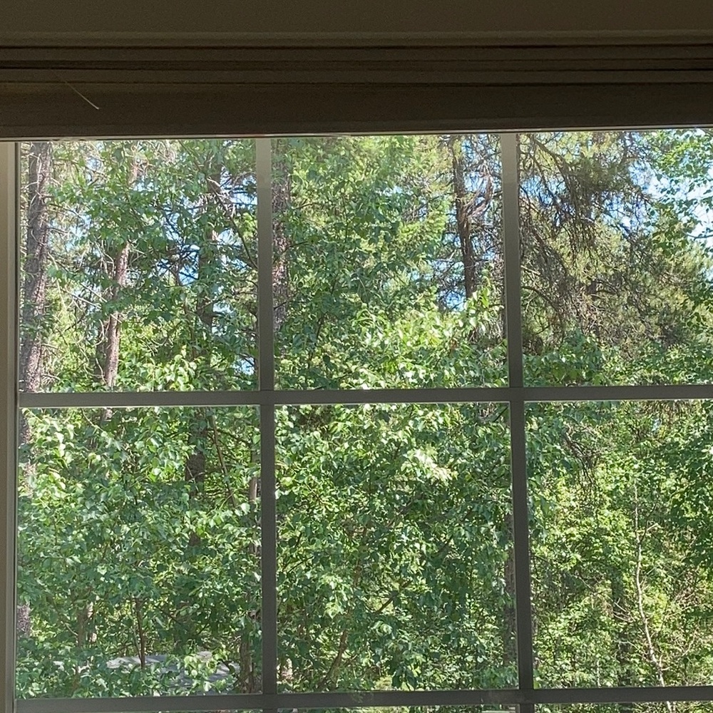 Meet your Posher, Quinn